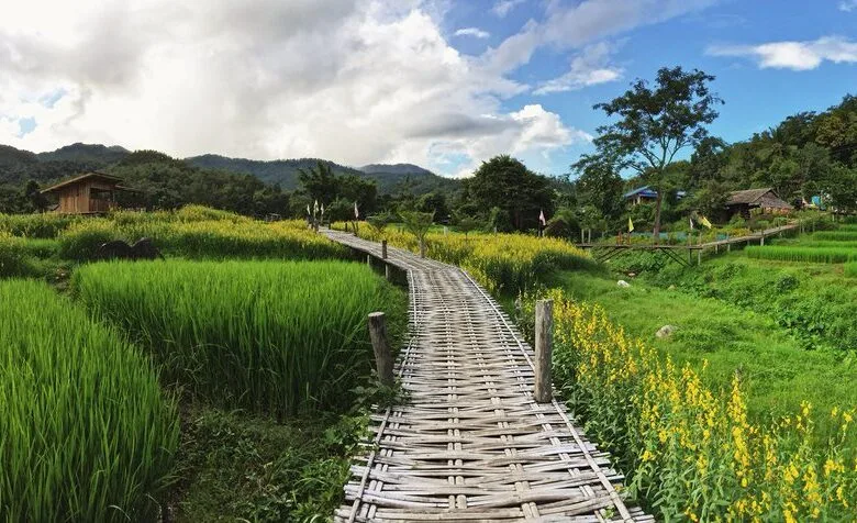 สะพานบุญโขกู้โส่